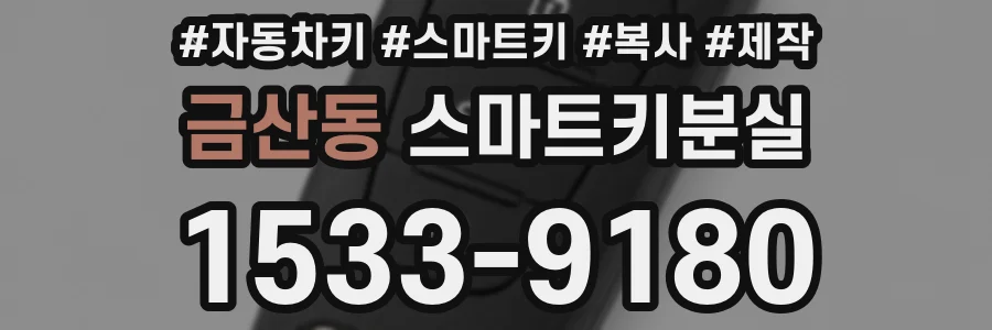 금산동 스마트키분실