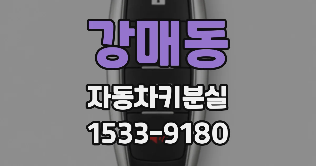 강매동 자동차키분실