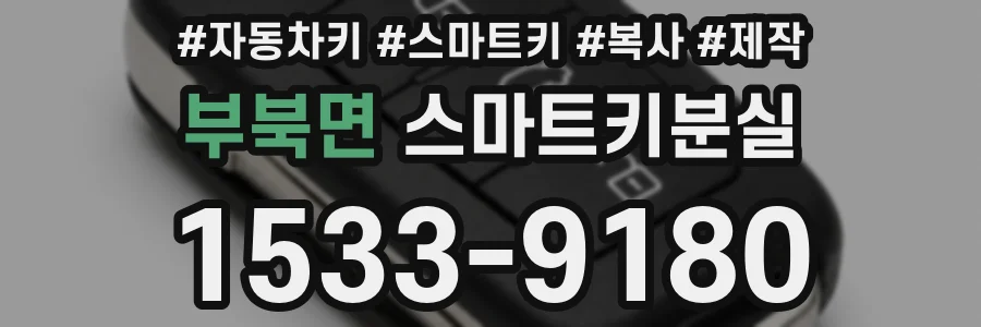 부북면 스마트키분실