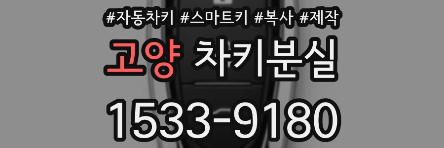 고양 차키분실