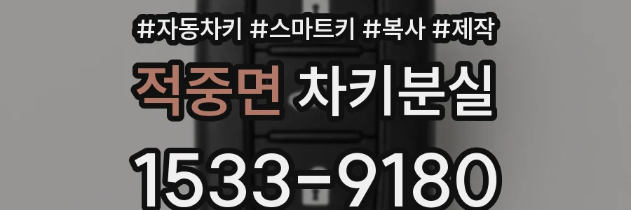 적중면 차키분실