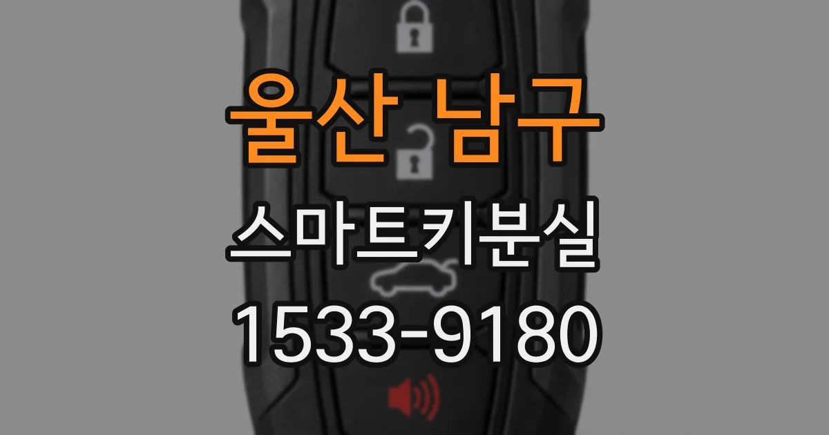 울산 남구 스마트키분실