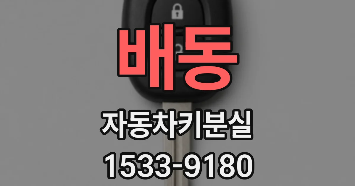 배동 자동차키분실