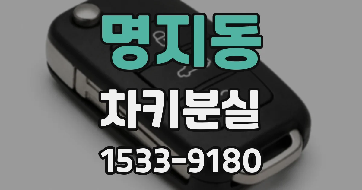 명지동 차키분실