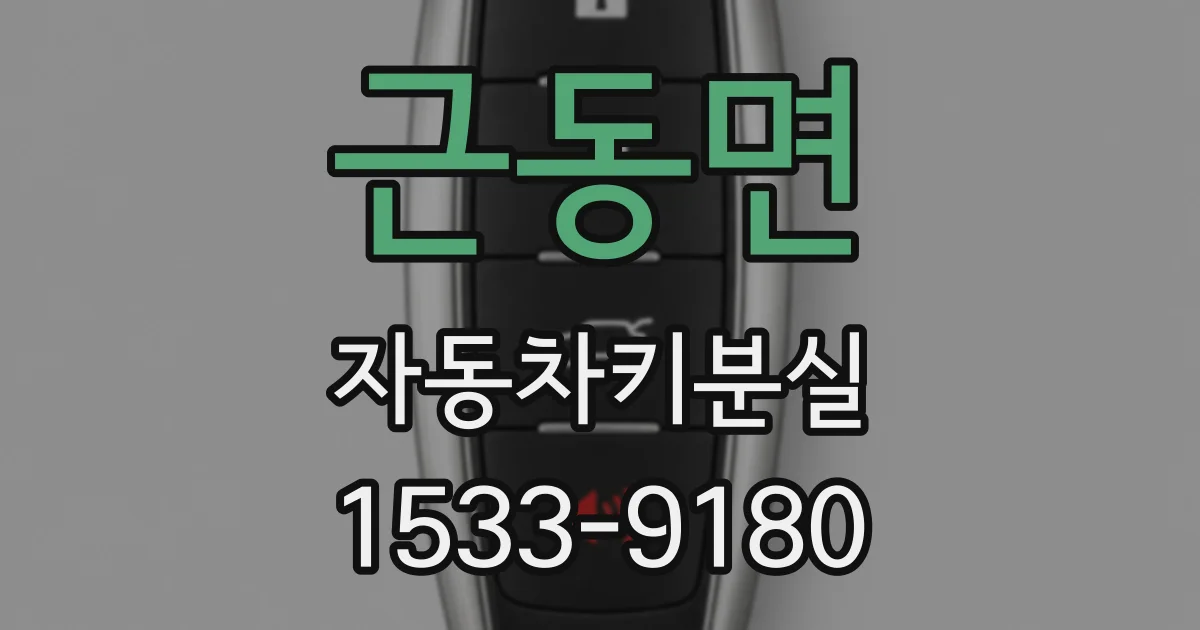 근동면 자동차키분실