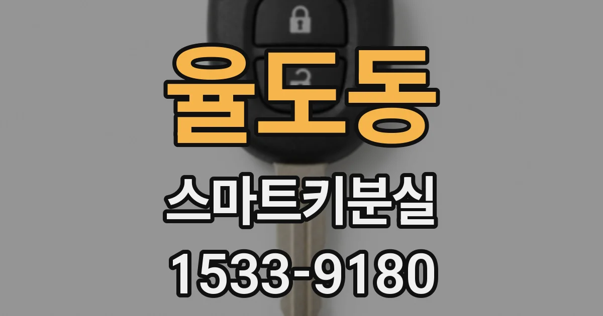 율도동 스마트키분실