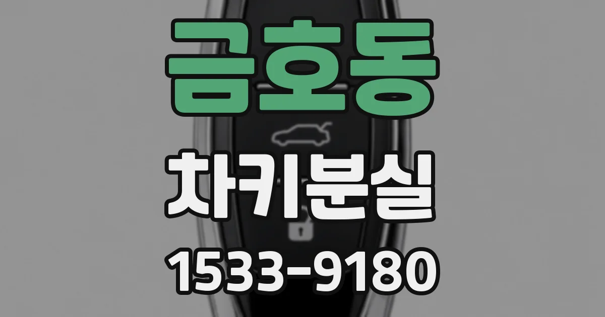 금호동 차키분실