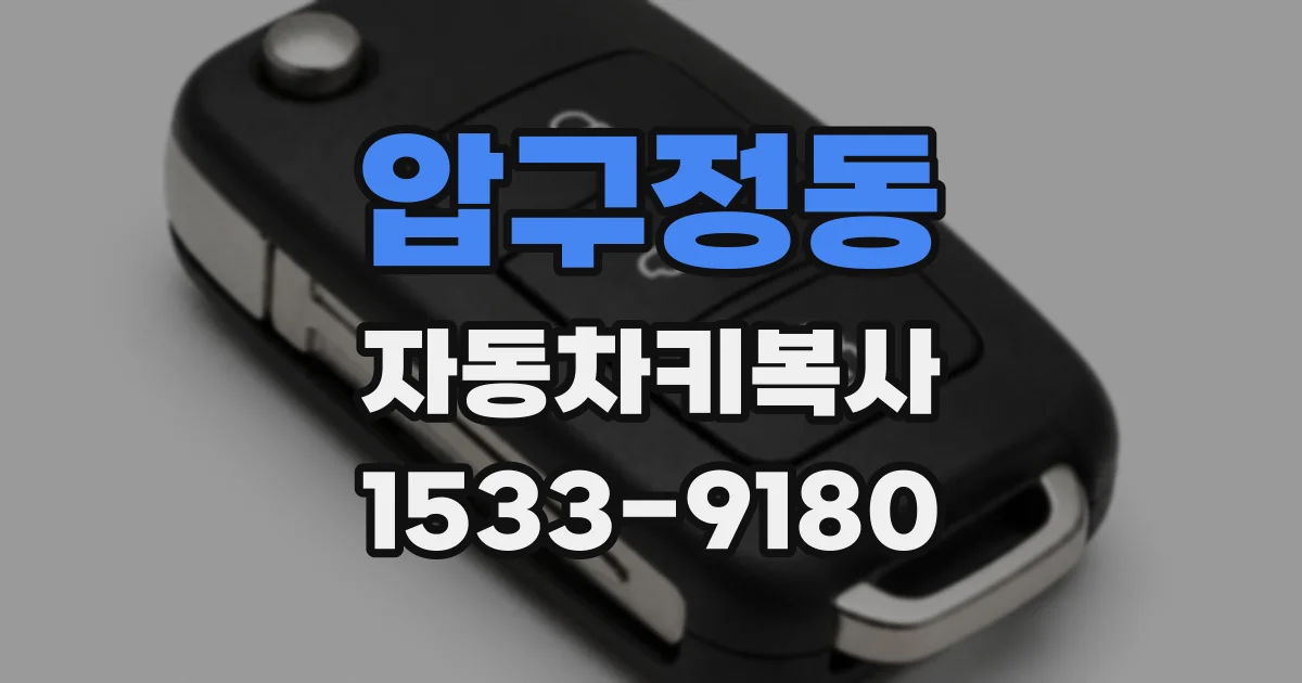 압구정동 자동차키복사