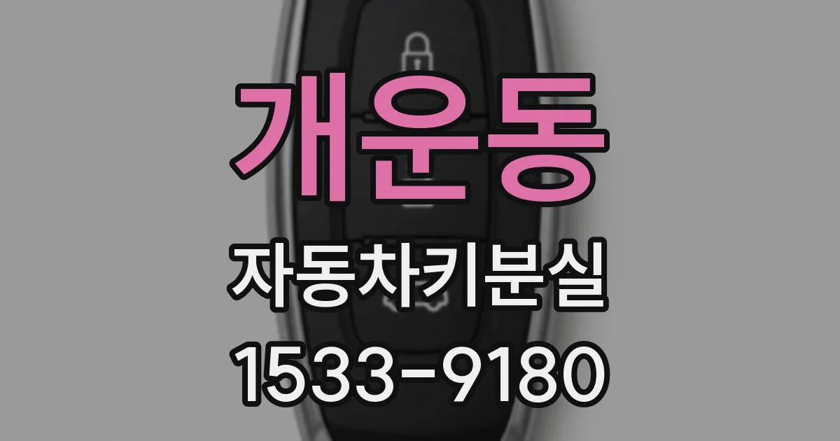 개운동 자동차키분실