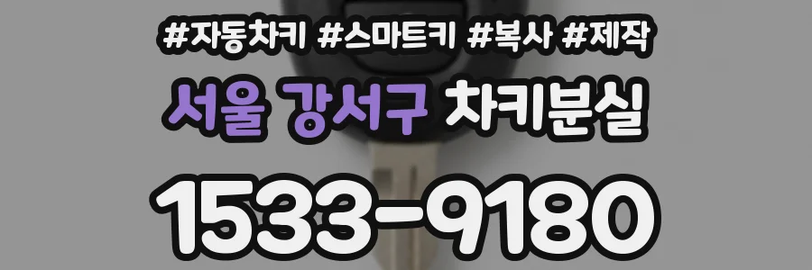 서울 강서구 차키분실