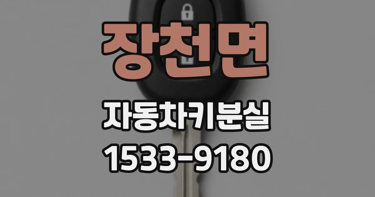 장천면 자동차키분실