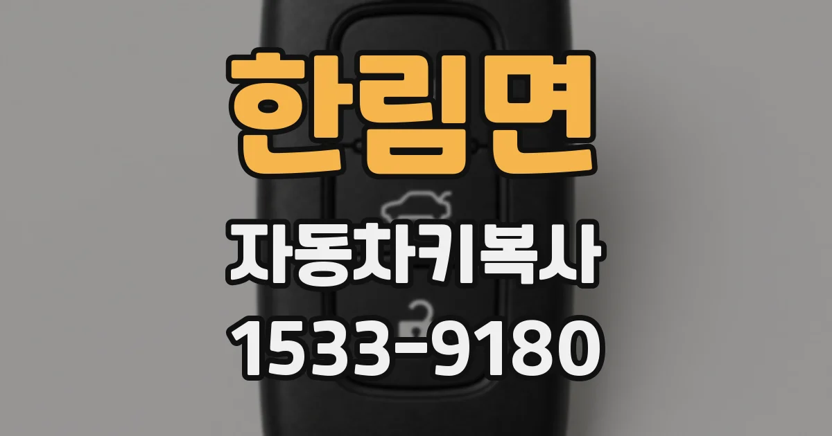 한림면 자동차키복사