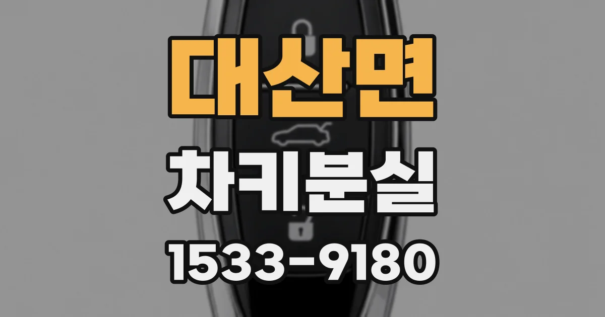 대산면 차키분실