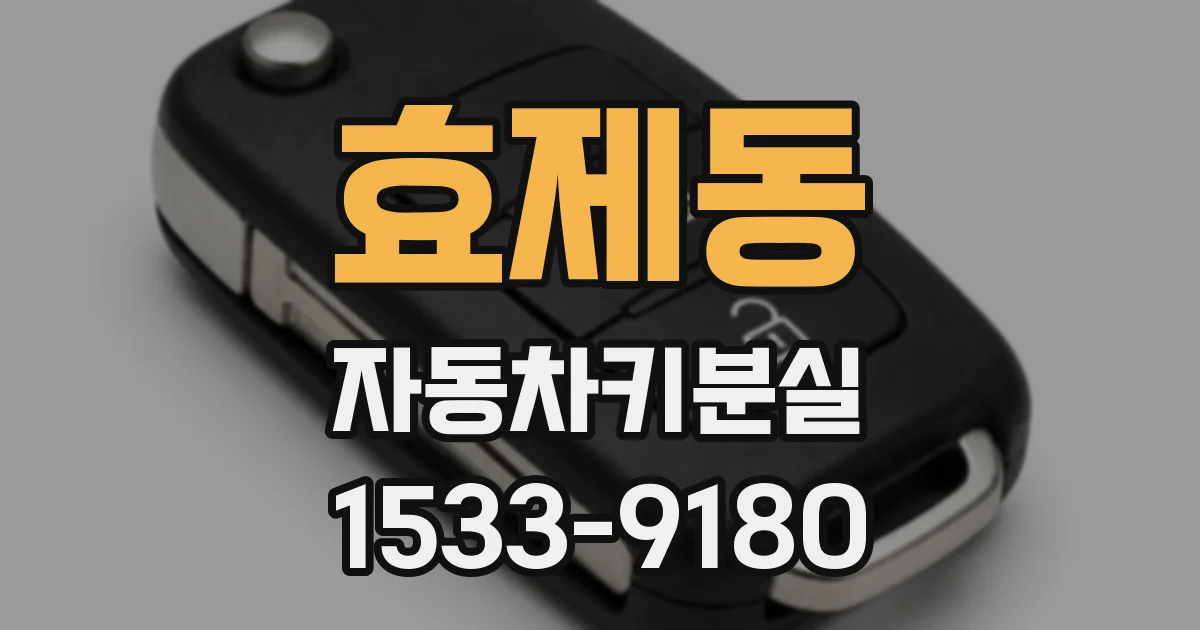 효제동 자동차키분실