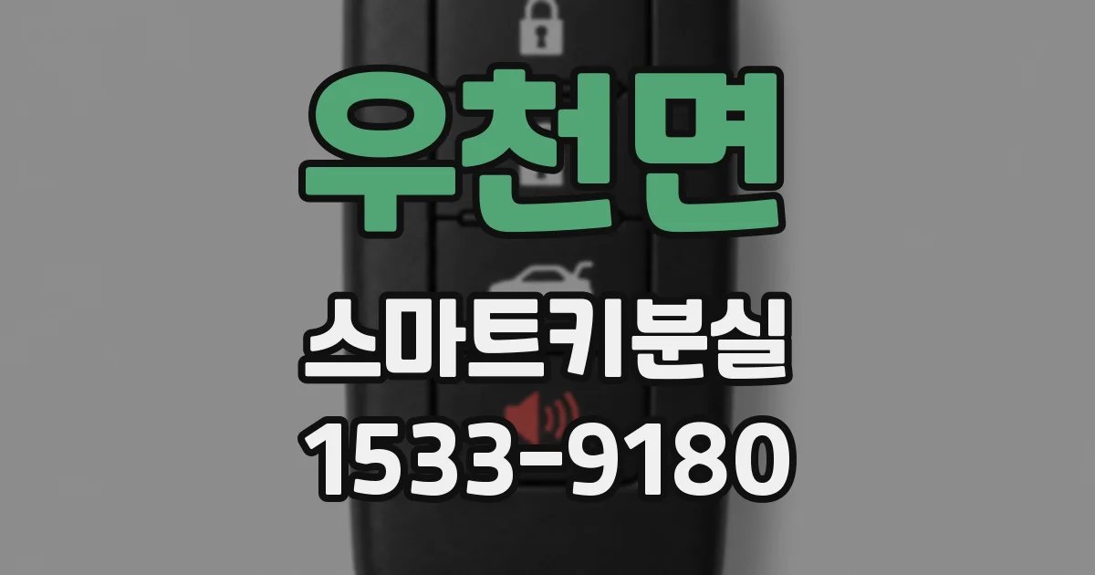 우천면 스마트키분실