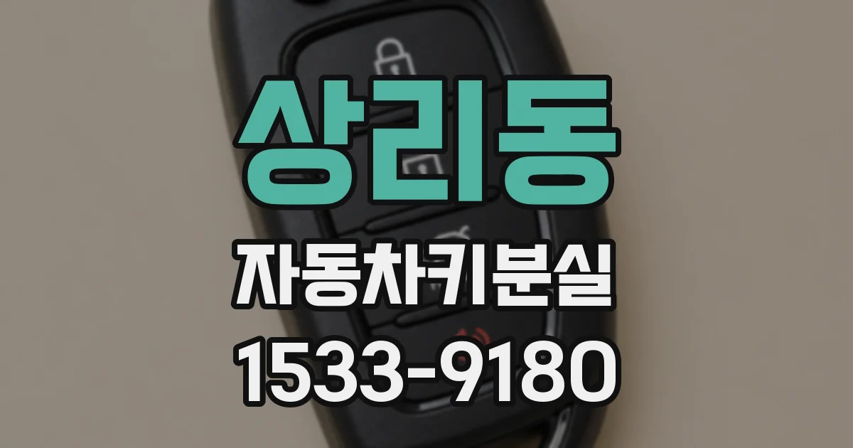 상리동 자동차키분실
