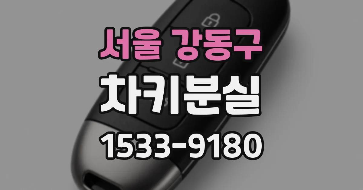 서울 강동구 차키분실