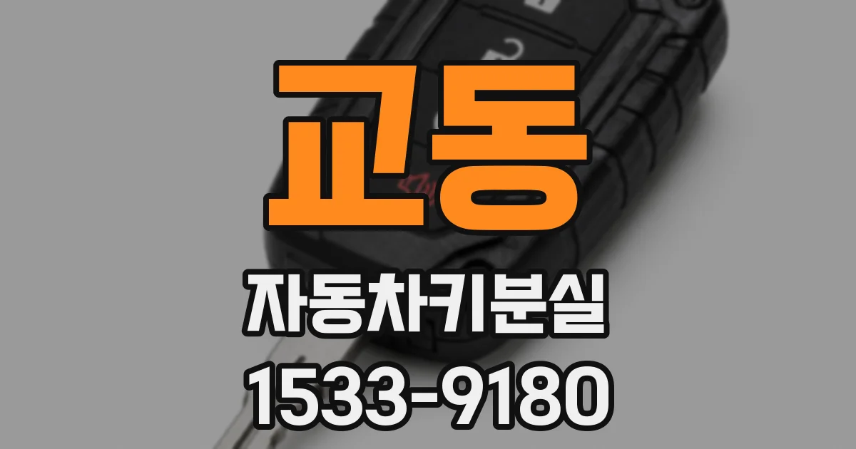 교동 자동차키분실