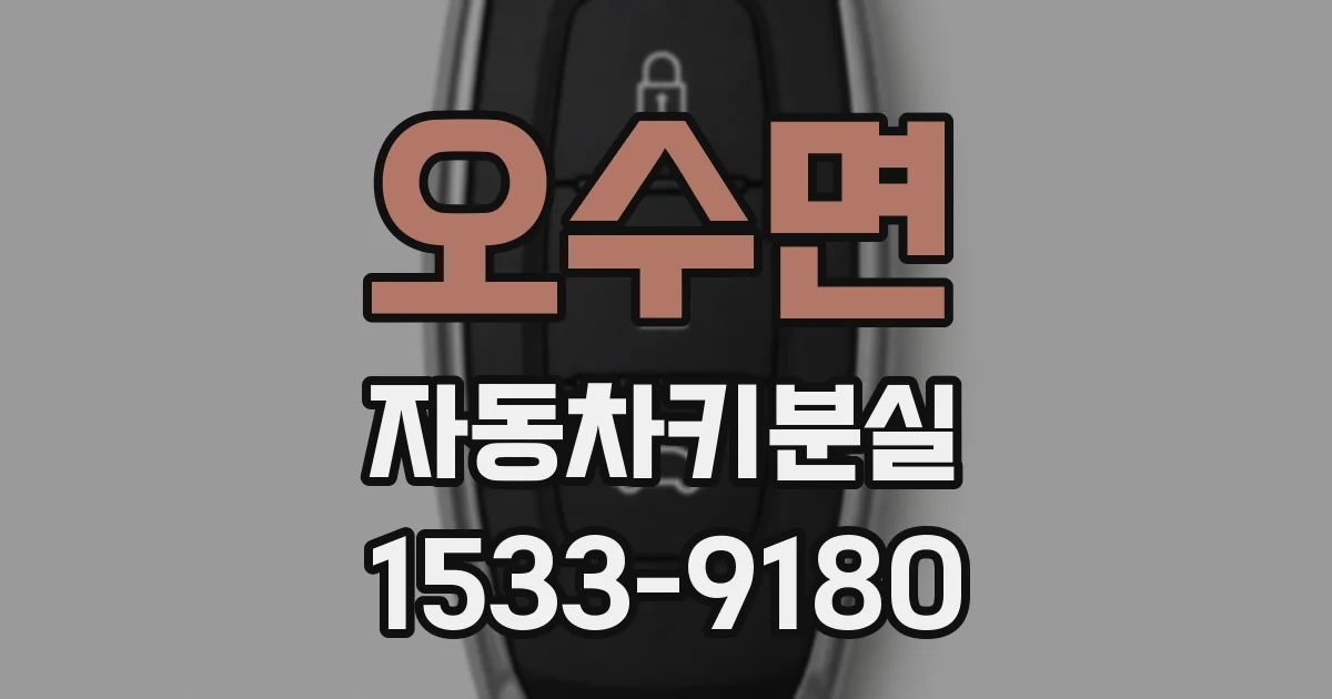 오수면 자동차키분실