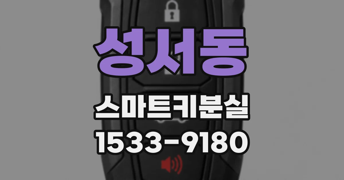 성서동 스마트키분실