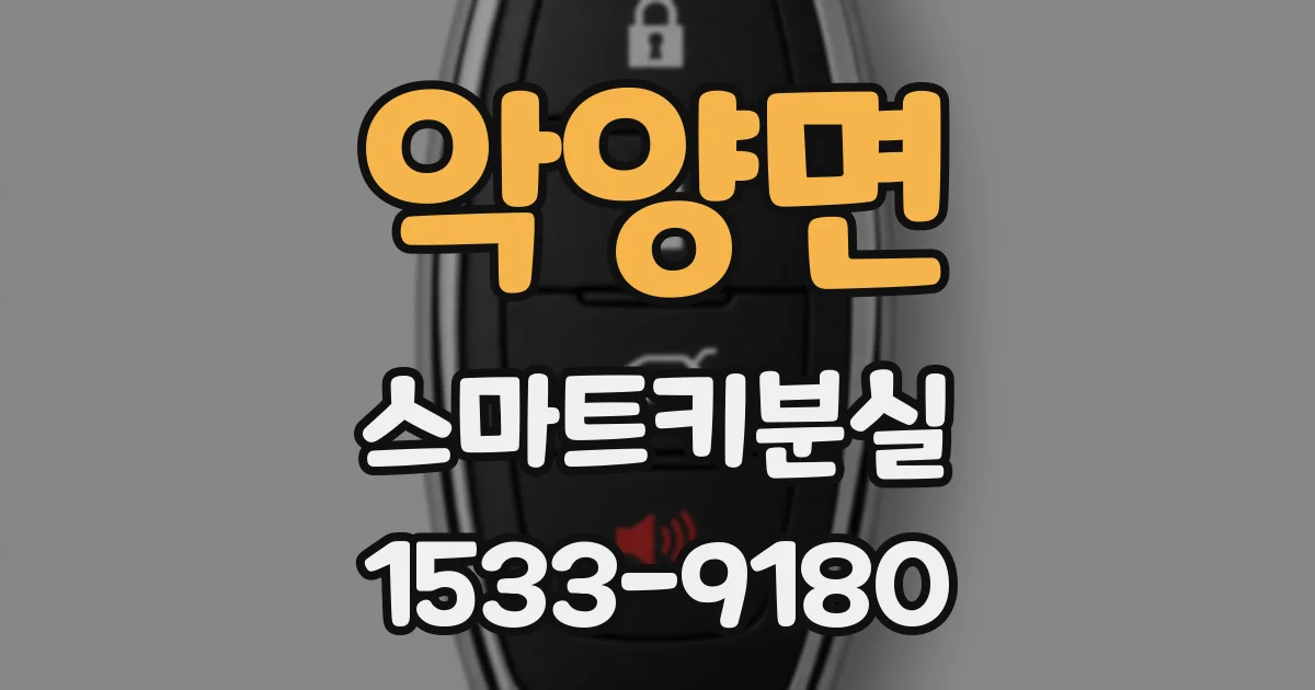 악양면 스마트키분실