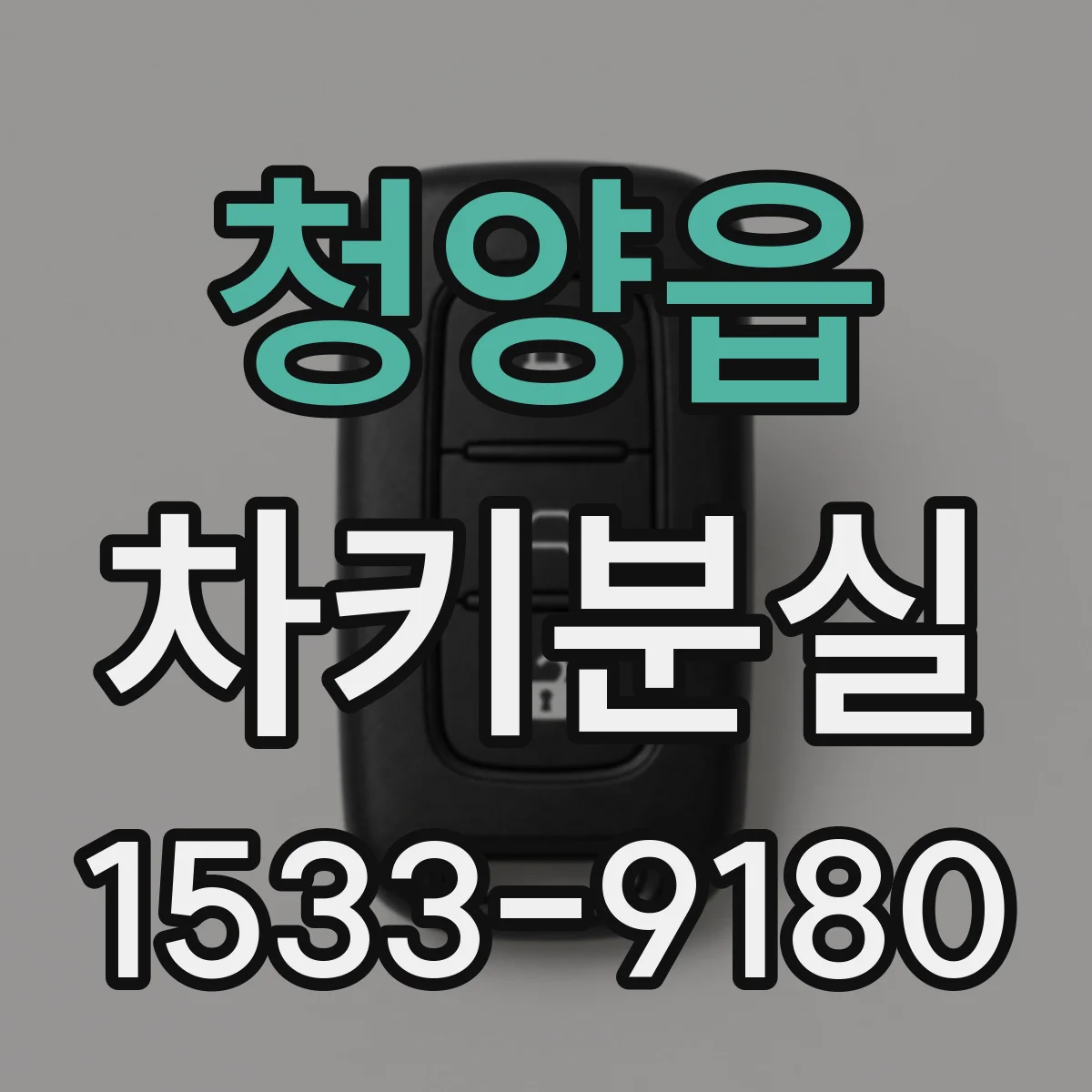 청양읍 차키분실