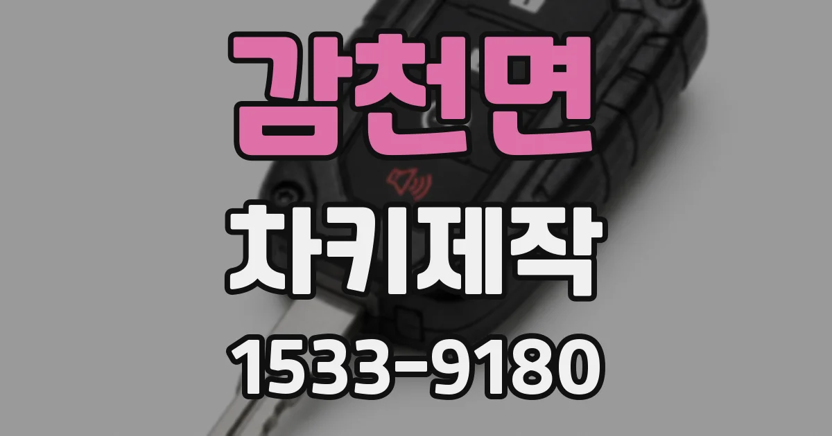 감천면 차키제작