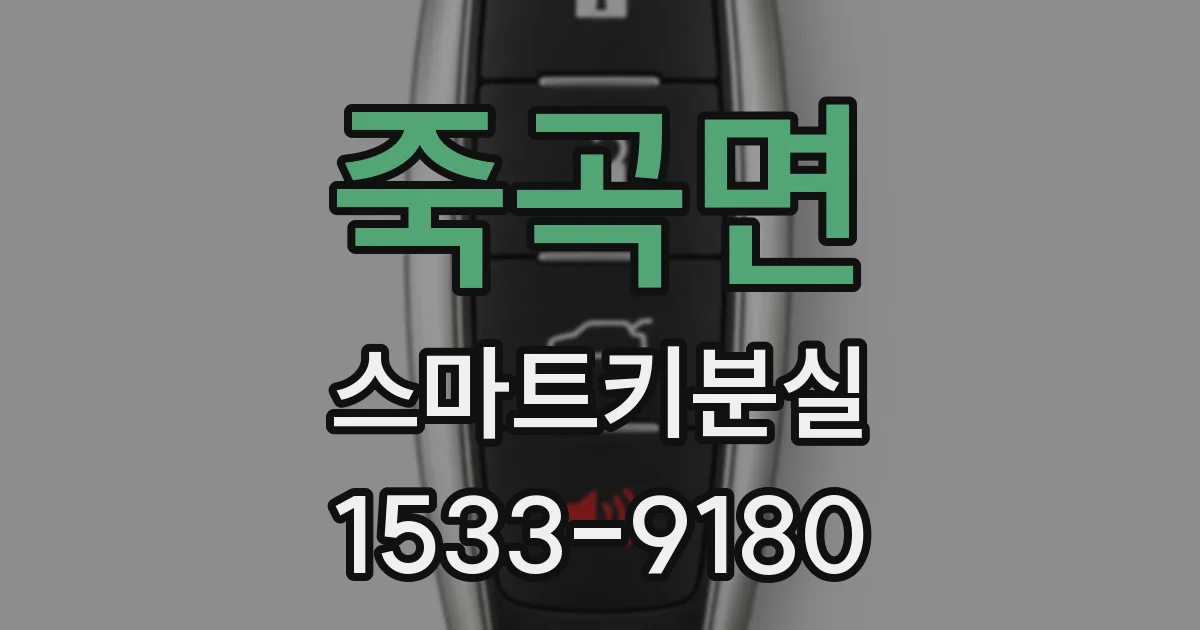 죽곡면 스마트키분실