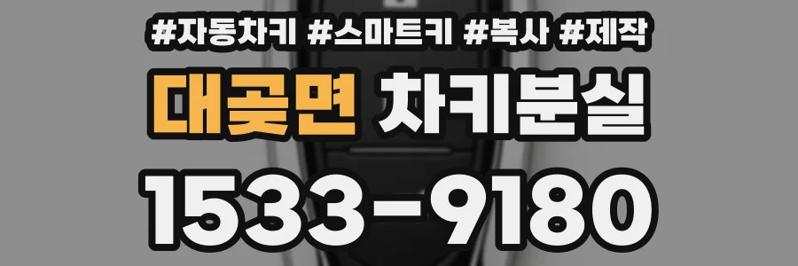 대곶면 차키분실