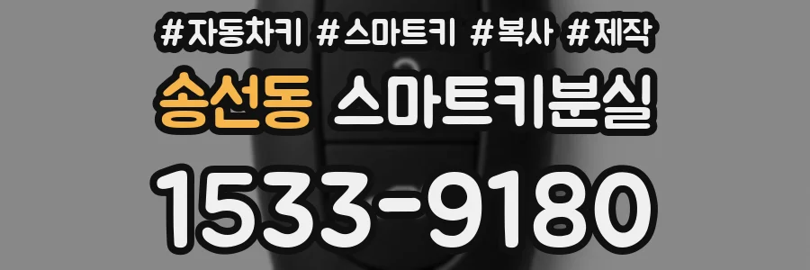 송선동 스마트키분실
