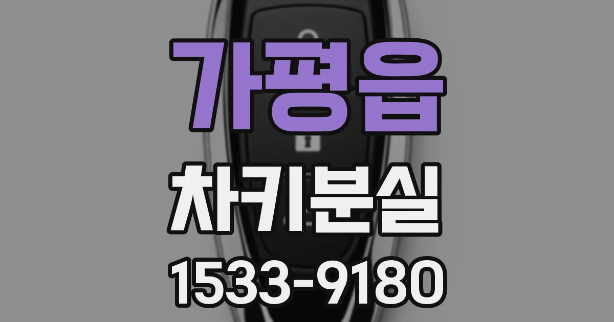 가평읍 차키분실