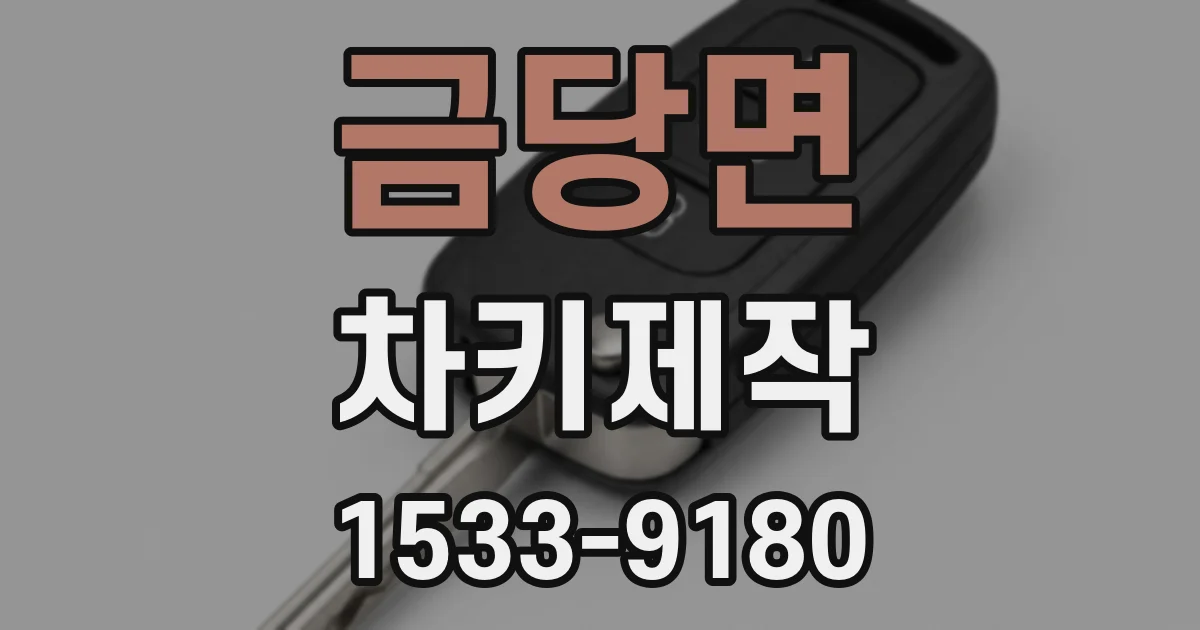 금당면 차키제작