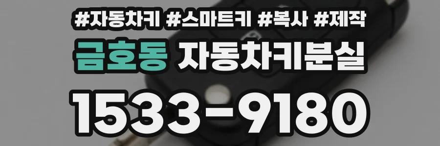 금호동 자동차키분실
