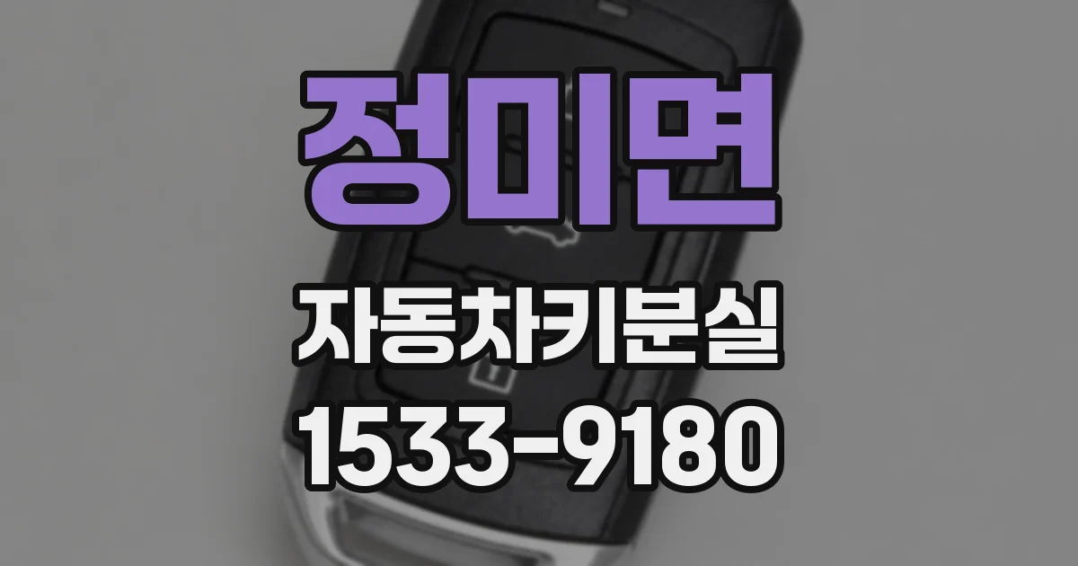 정미면 자동차키분실
