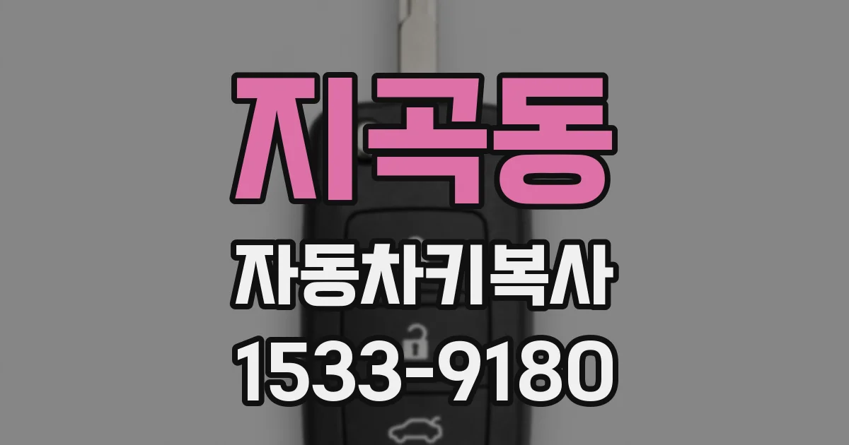 지곡동 자동차키복사