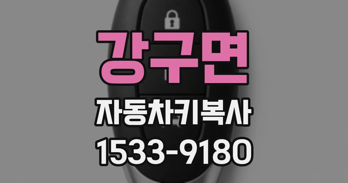 강구면 자동차키복사