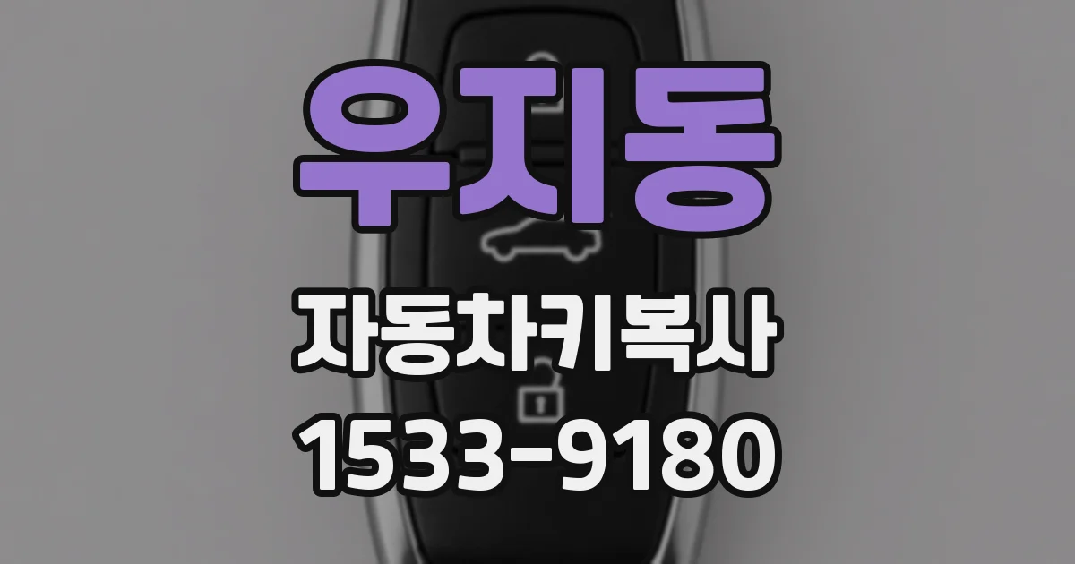 우지동 자동차키복사