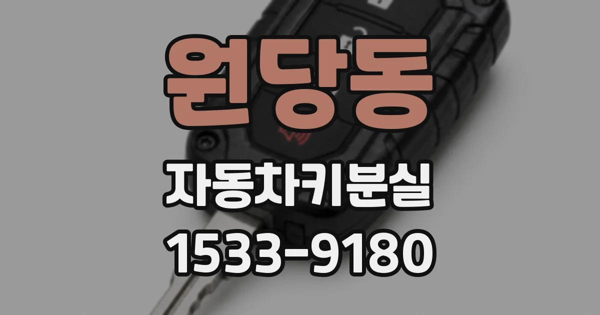 원당동 자동차키분실