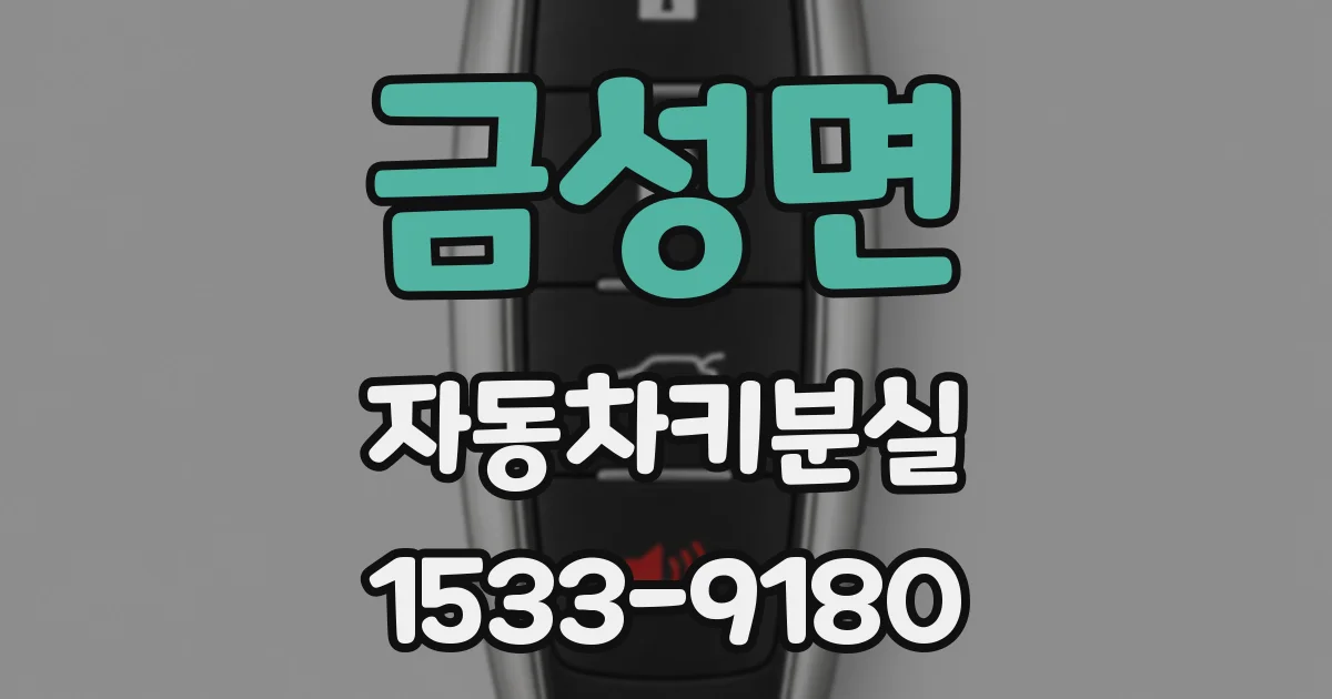 금성면 자동차키분실