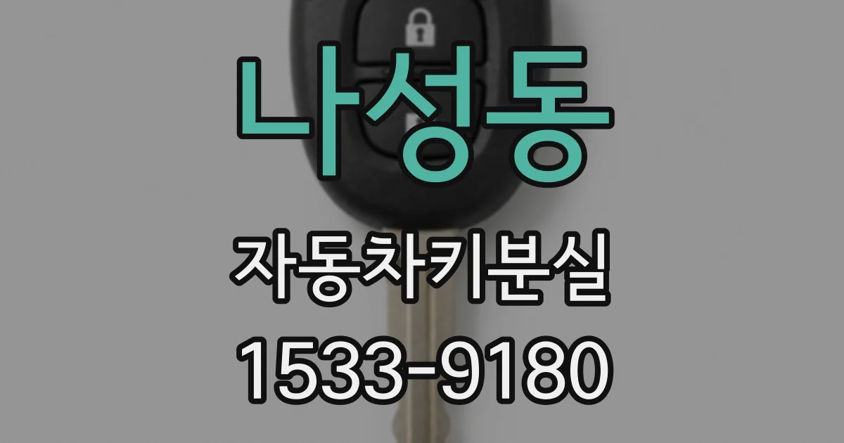 나성동 자동차키분실