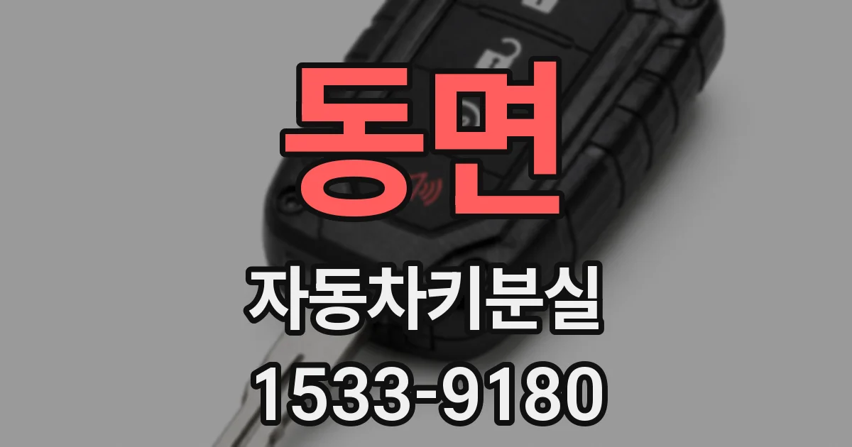 동면 자동차키분실