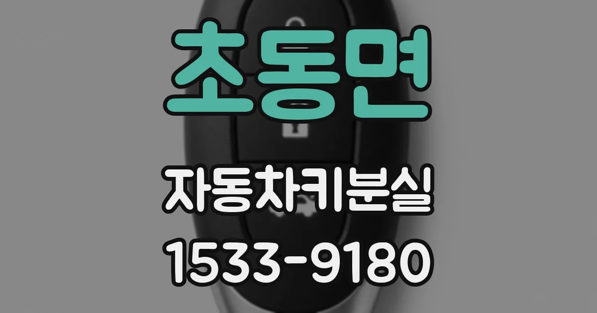 초동면 자동차키분실