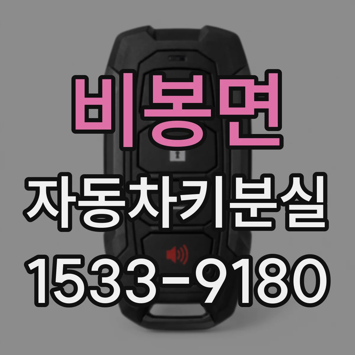 비봉면 자동차키분실
