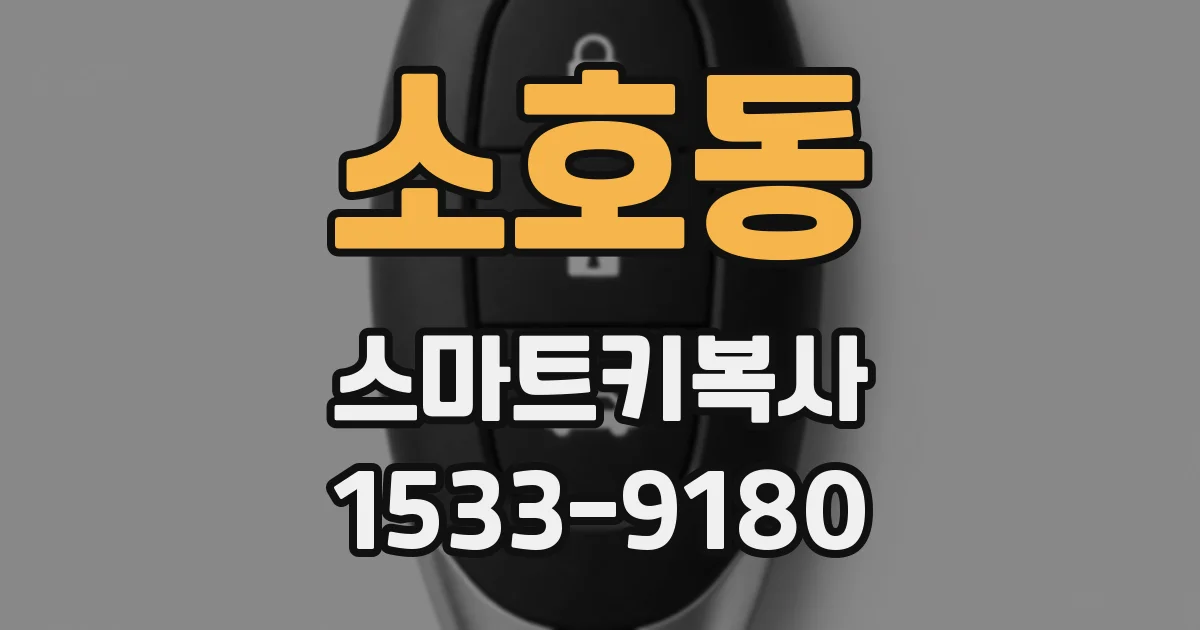 소호동 스마트키복사