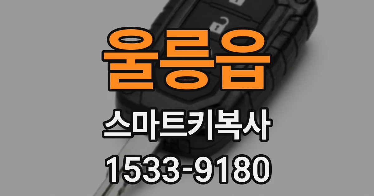 울릉읍 스마트키복사