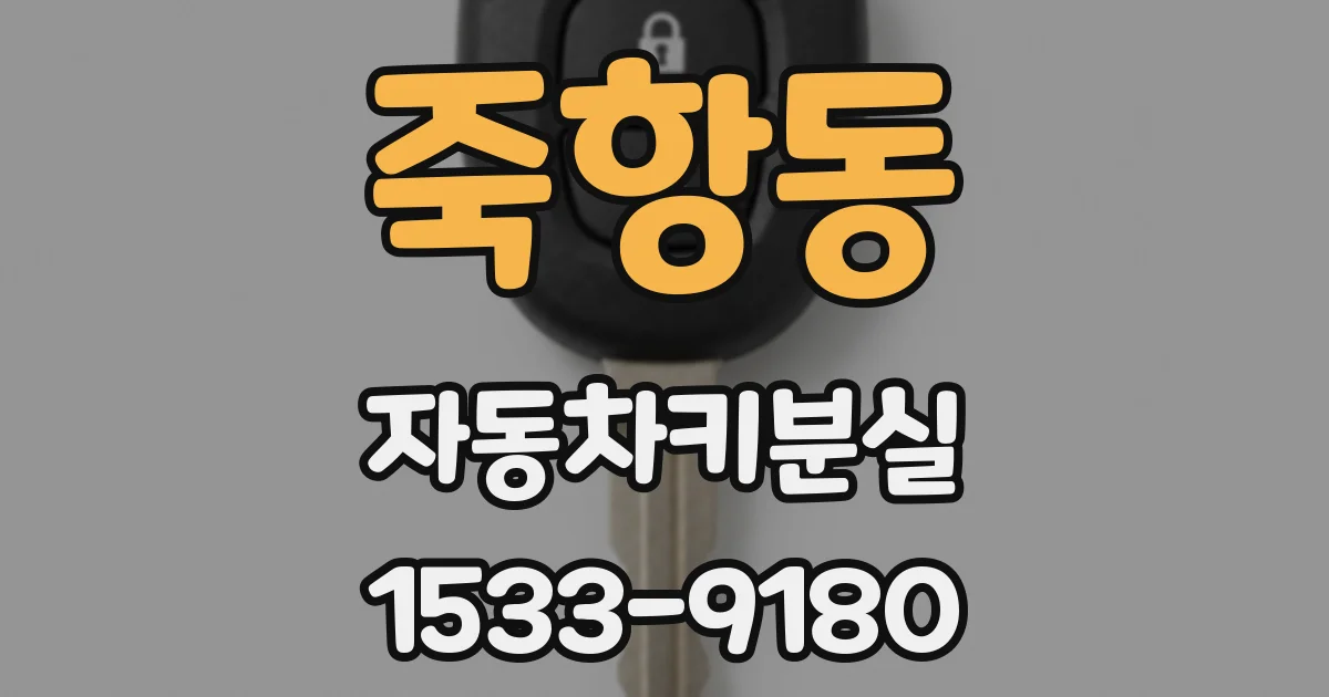 죽항동 자동차키분실