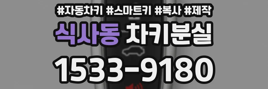 식사동 차키분실