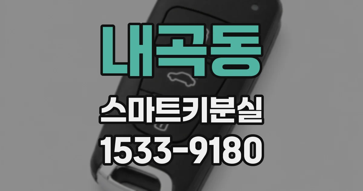 내곡동 스마트키분실