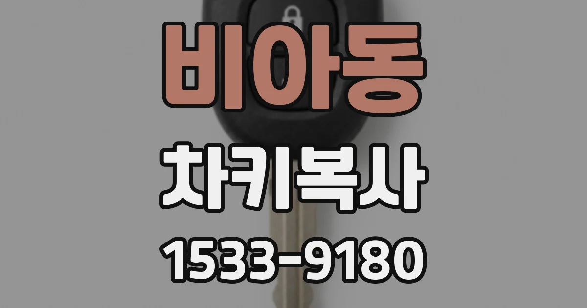 비아동 차키복사