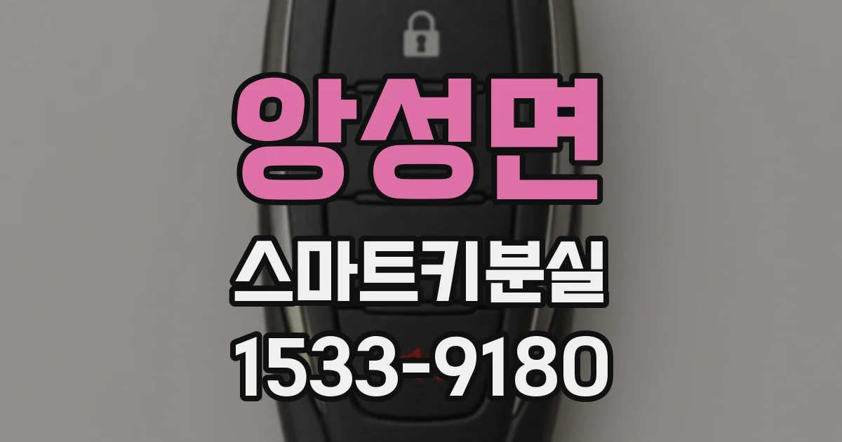 앙성면 스마트키분실